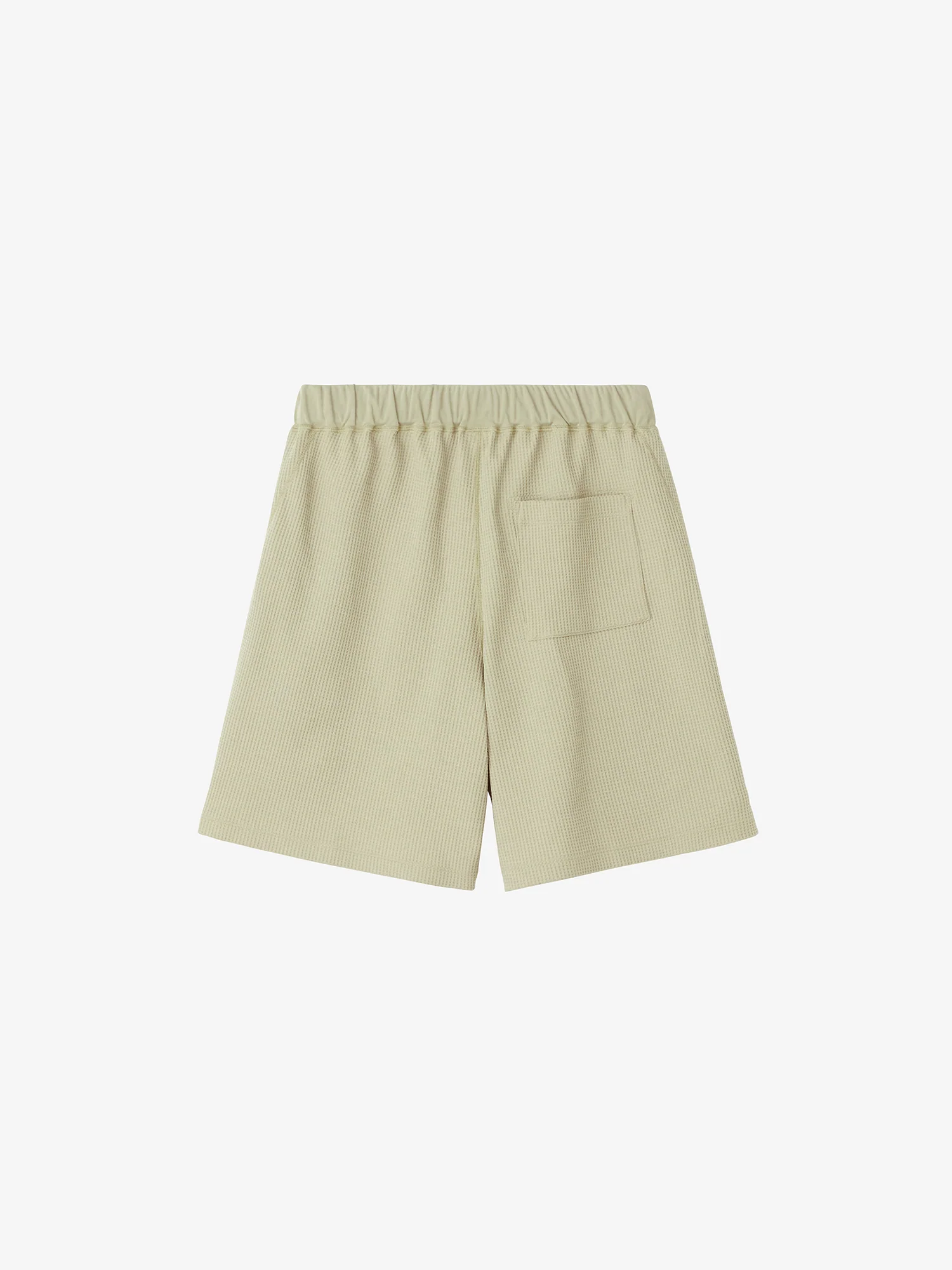 WF Light Shorts - Image 4